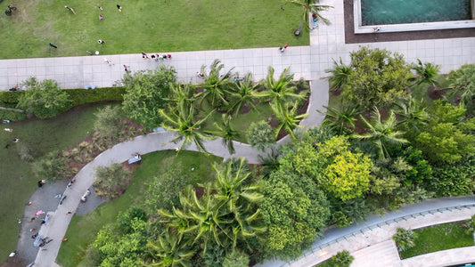 Miami Drone Footage 4K 236