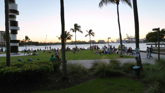 Miami Drone Footage 4K 237