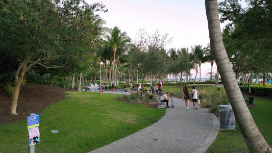 Miami Drone Footage 4K 239