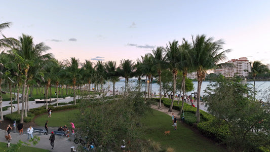 Miami Drone Footage 4K 239 B