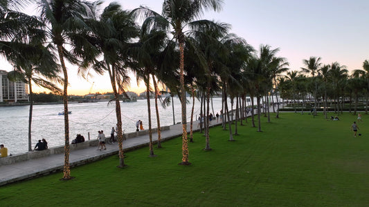 Miami Drone Footage 4K 242