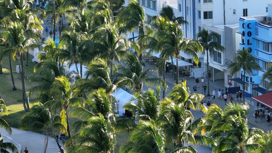 Miami Drone Footage 4K 284