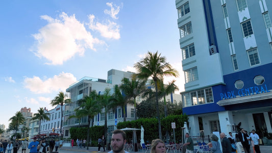 Miami Drone Footage 4K 306