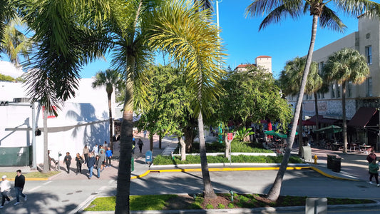 Miami Drone Footage 4K 338