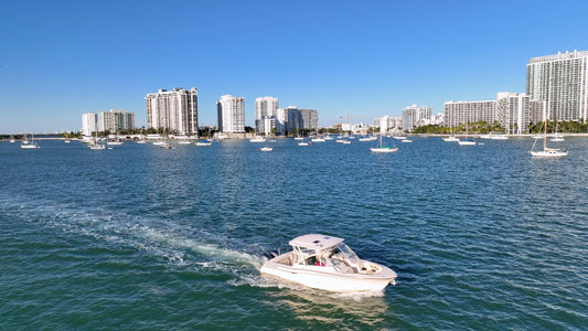 Miami Drone Footage 4K 368