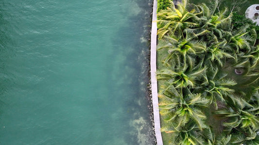 Miami Drone Footage 4K 423