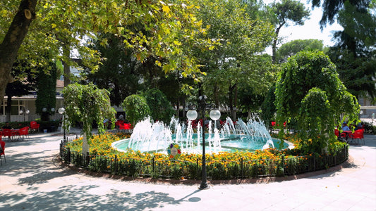 Aydın 4K Drone Footage Nazilli 0371