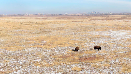 Denver, Colorado Drone Footage 0700