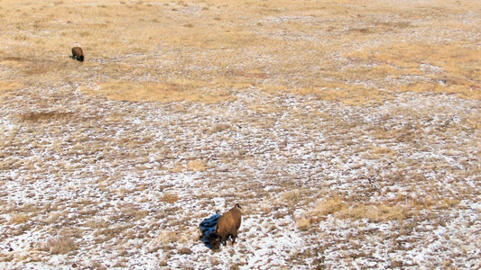 Denver, Colorado Drone Footage 0701