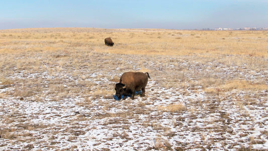 Denver, Colorado Drone Footage 0702