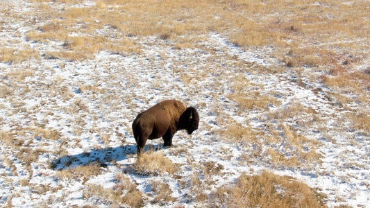 Denver, Colorado Drone Footage 0703