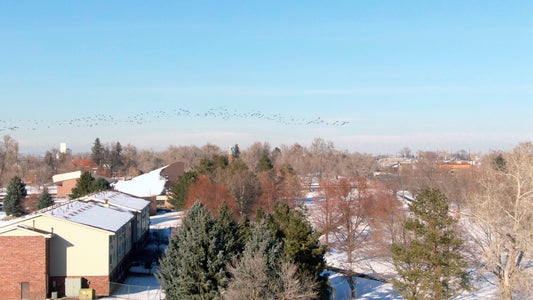 Denver, Colorado Drone Footage 0705