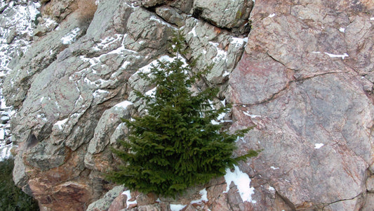 Denver, Colorado Drone Footage 0813