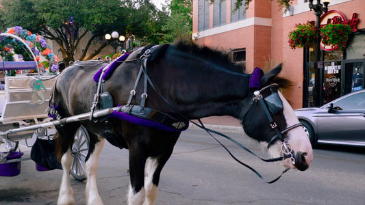 San Antonio, Texas Drone Footage 895