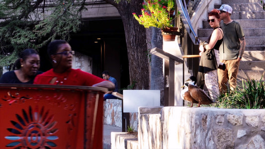 San Antonio, Texas Drone Footage 863