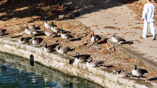 Nashville, Tennessee Drone Footage 162 B