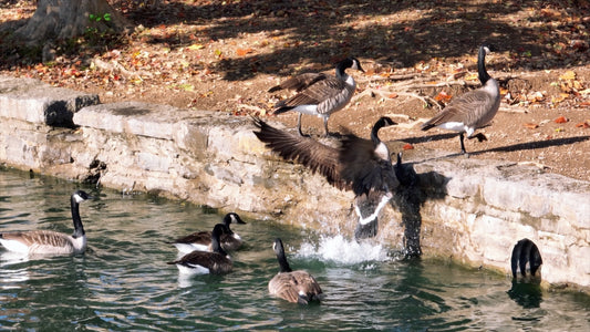 Nashville, Tennessee Drone Footage 175