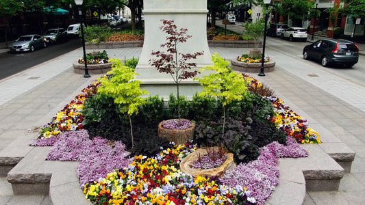 Cincinnati, Ohio Drone Footage 025