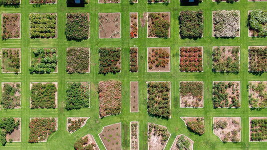 Los Angeles, California Drone Footage 003 B