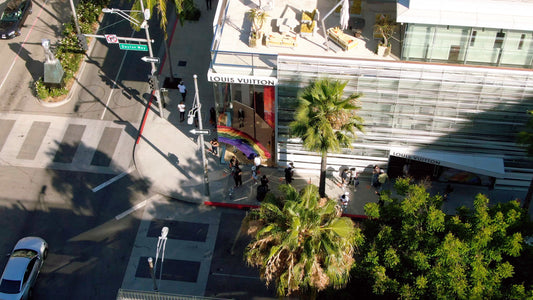 Los Angeles, California Drone Footage 017