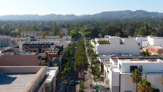 Los Angeles, California Drone Footage 018