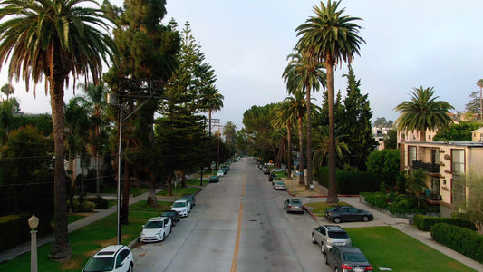 Los Angeles, California Drone Footage 053