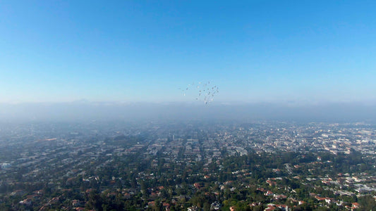 Los Angeles, California Drone Footage 066