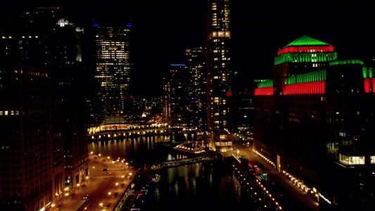 Chicago, Illinois Drone Footage 060