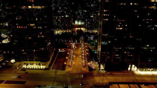 Chicago, Illinois Drone Footage 069