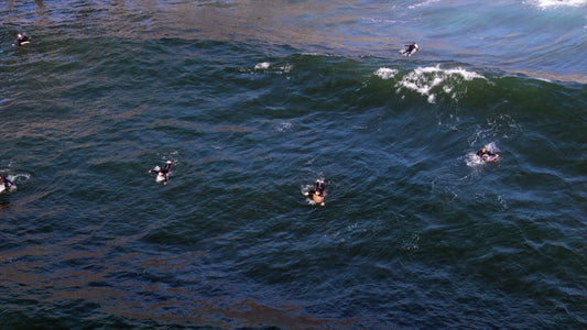 San Diego, California Drone Footage  0333