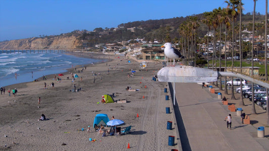 San Diego, California Drone Footage  0340