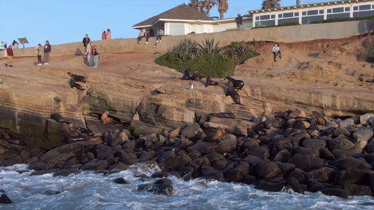 San Diego, California Drone Footage  0351
