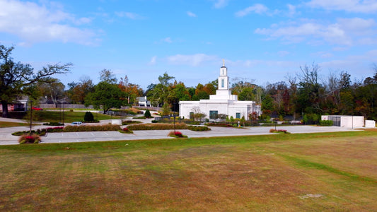 Baton Rouge Drone Footage 5K 061