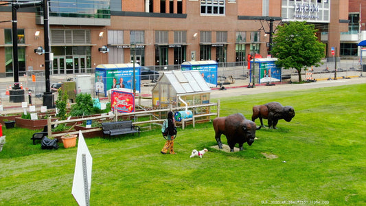 Buffalo, New York 4K Drone Footage 039