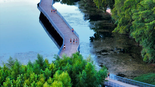 Austin, Texas Drone Footage 648