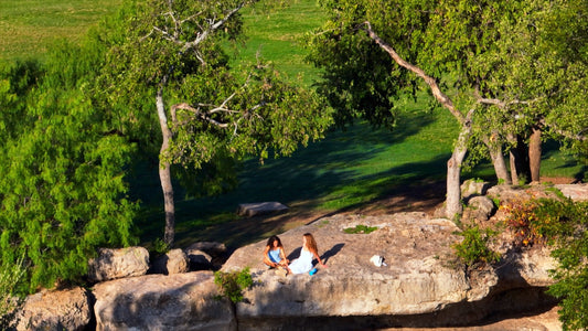 Austin, Texas Drone Footage 679