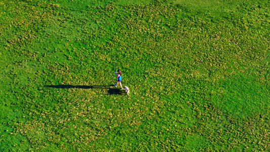 Austin, Texas Drone Footage 682