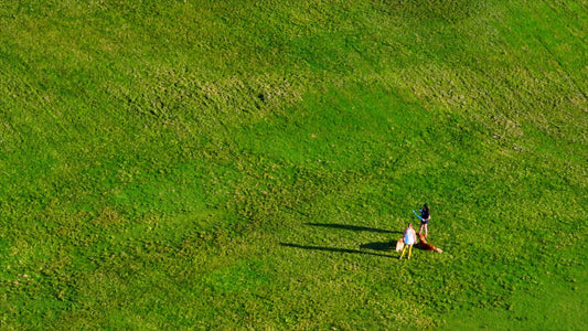 Austin, Texas Drone Footage 683