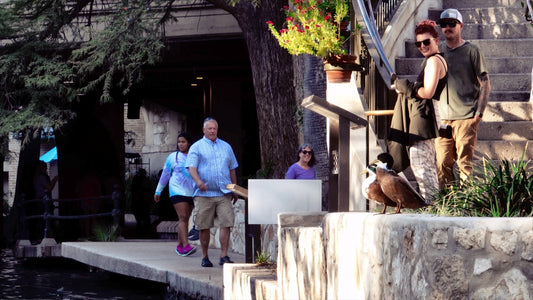 San Antonio, Texas Drone Footage 862