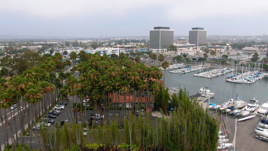 Los Angeles, California Drone Footage 001