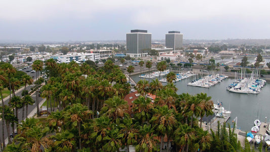 Los Angeles, California Drone Footage  001 B