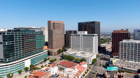 Los Angeles, California Drone Footage 006