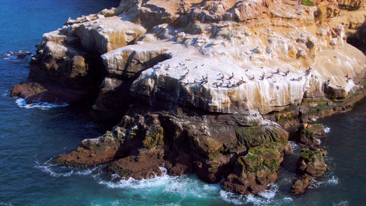 San Diego, California Drone Footage 0324