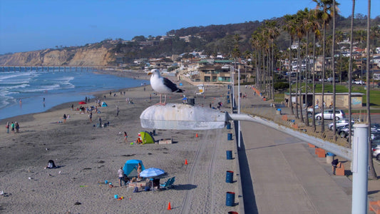 San Diego, California Drone Footage  0339