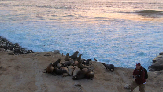 San Diego, California Drone Footage 0377