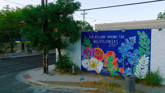 Austin, Texas Drone Footage 653