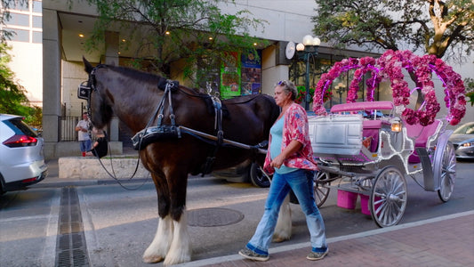 San Antonio, Texas Drone Footage  889