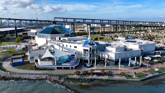 Corpus Christi, Texas Drone Footage 4K 0880