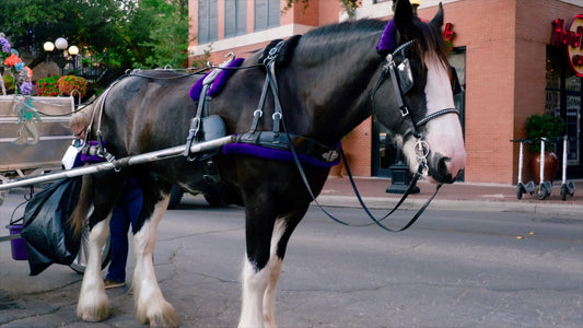 San Antonio, Texas Drone Footage 896