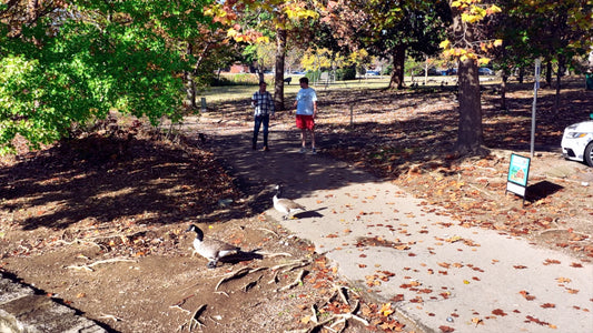 Nashville, Tennessee Drone Footage 176